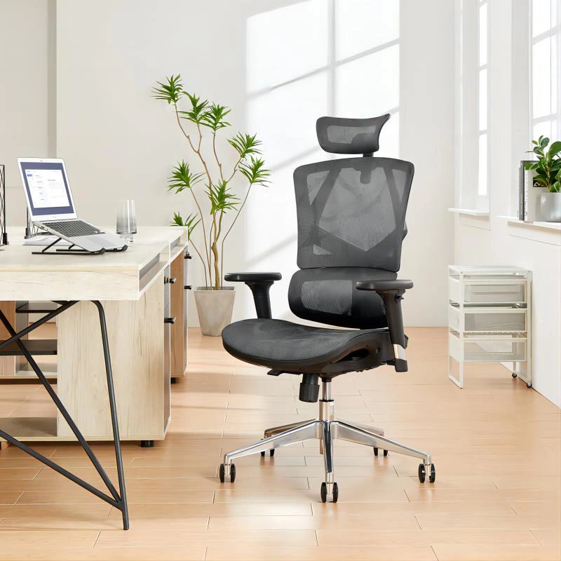 Sihoo ergonomic chairs