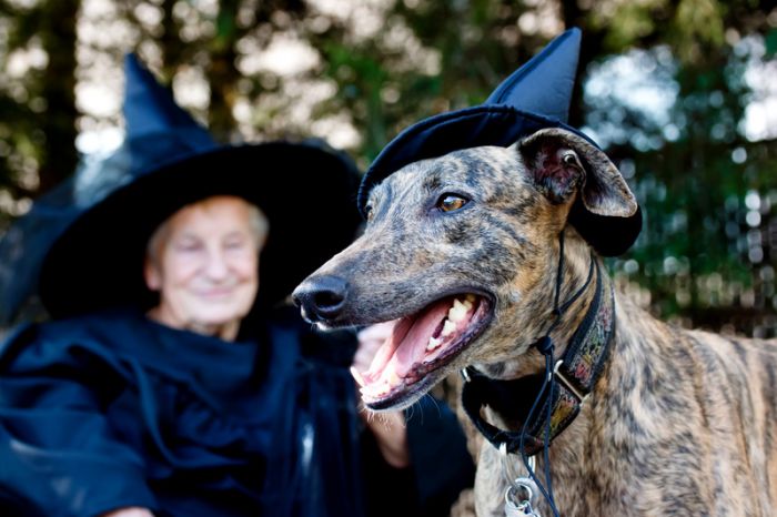 How To Save Money On Halloween Costumes