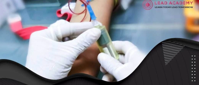 Buy Lead Academy Bundle Courses 