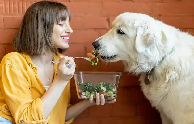 Raw Paws Pet Food  coupons